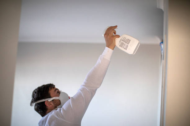 Best Mold Remediation Services  in Langston, OK
