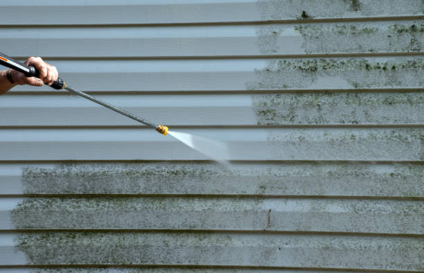 Best Toxic Mold Removal  in Langston, OK