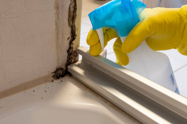 Best Mold Cleaning Services  in Langston, OK