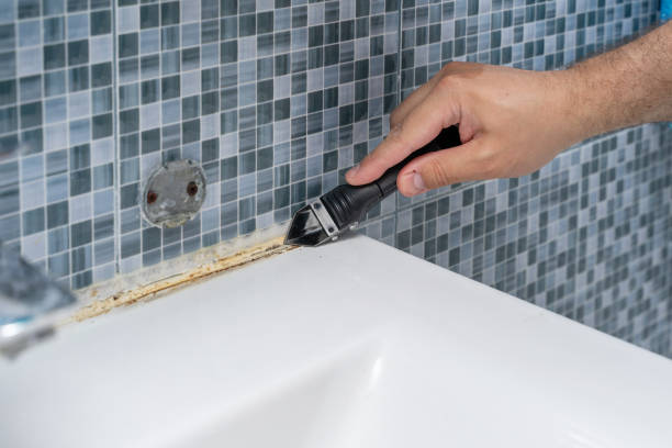 Best Mold Removal Company Near Me  in Langston, OK